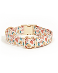 Peaches & Pears Dog Collar | Fruit Dog Collar | Available in 3 Sizes | Durable Dog Collars