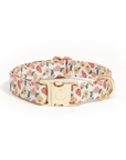 Peaches & Pears Dog Collar | Fruit Dog Collar | Available in 3 Sizes | Durable Dog Collars