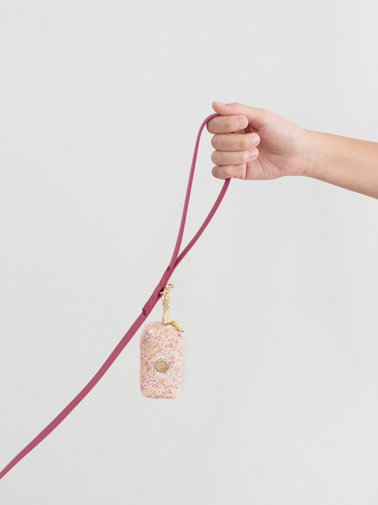 Mulberry Burgundy Waterproof Cloud Dog Leash - SUNNY TAILS