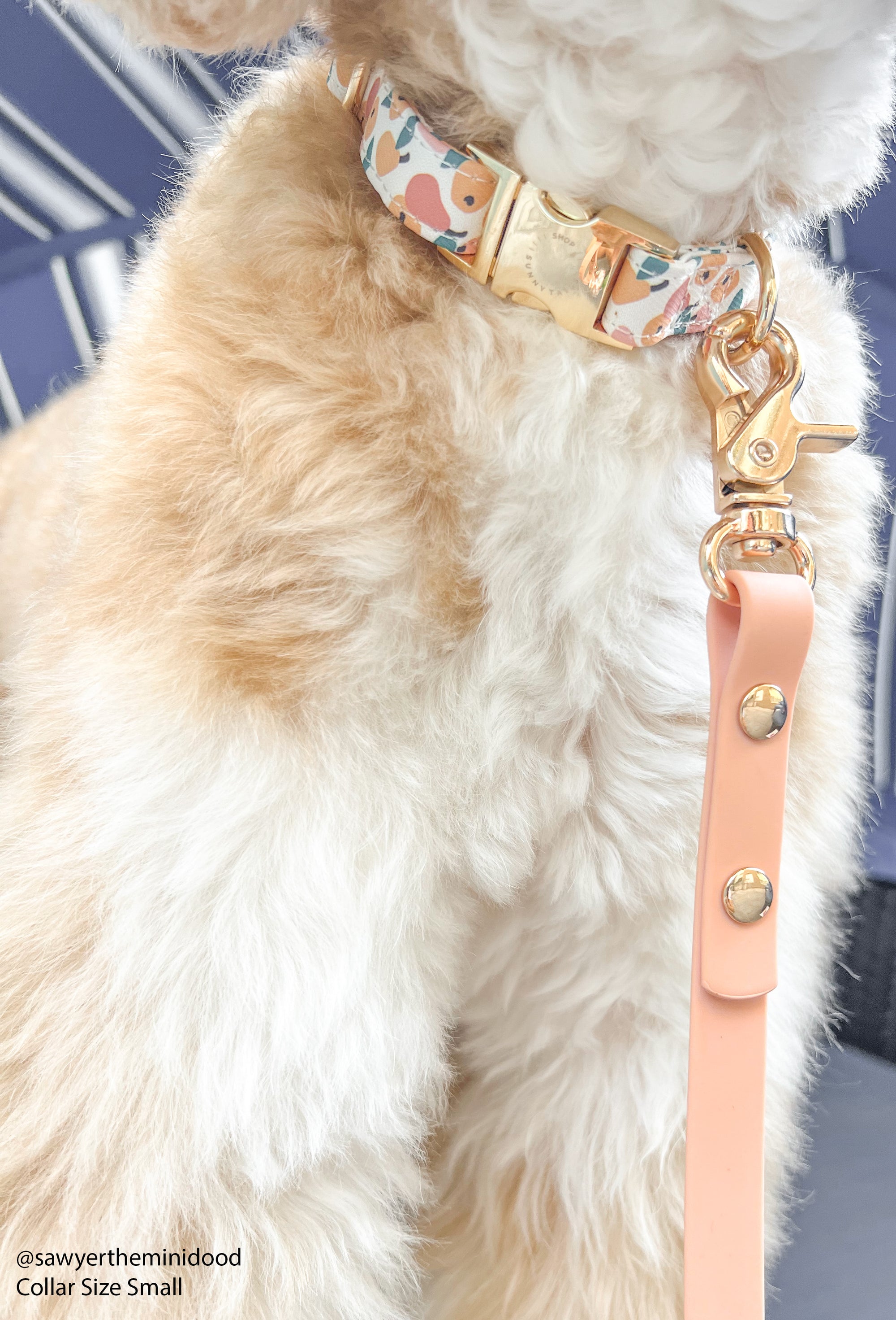Peaches &amp; Pears Dog Collar | Fruit Dog Collar | Available in 3 Sizes | Durable Dog Collars