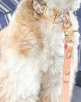 Peaches & Pears Dog Collar | Fruit Dog Collar | Available in 3 Sizes | Durable Dog Collars